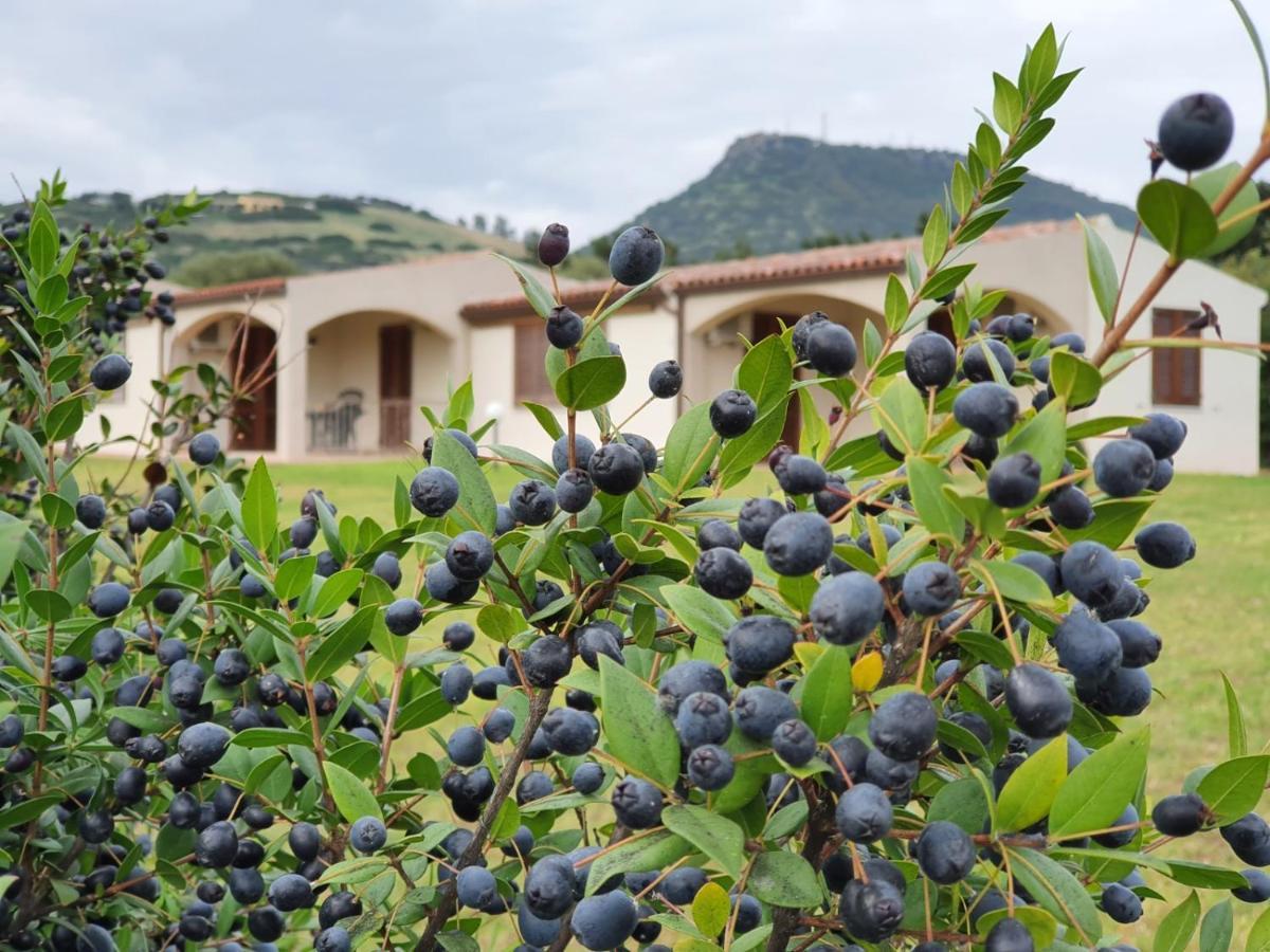 La Casa Di Spinosella Leilighet Valledoria  Eksteriør bilde